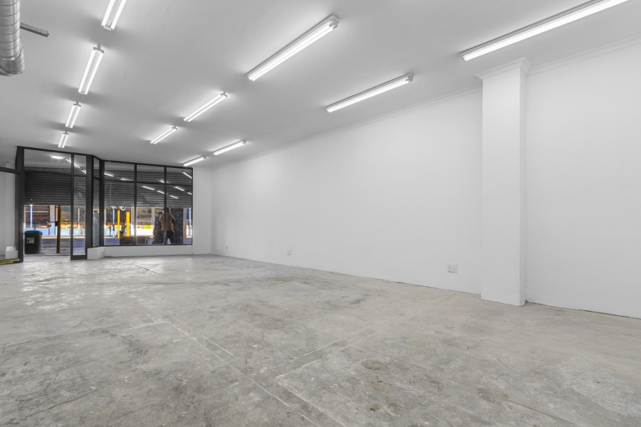 To Let commercial Property for Rent in Salt River Western Cape